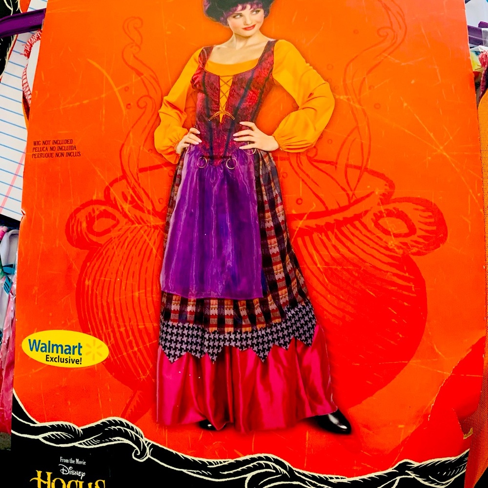 Mary Sanderson hocus pocus costume MD